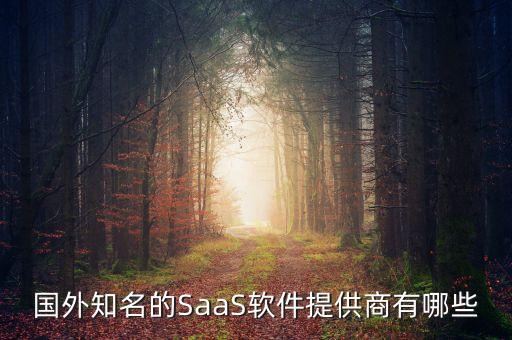 國外知名的SaaS軟件提供商有哪些