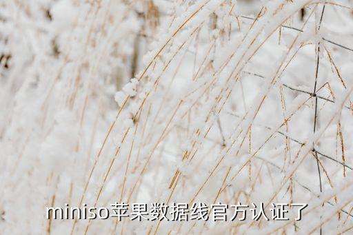 miniso蘋果數(shù)據(jù)線官方認(rèn)證了