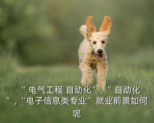 “ 電氣工程 自動化”,“ 自動化”,“電子信息類專業(yè)”就業(yè)前景如何呢