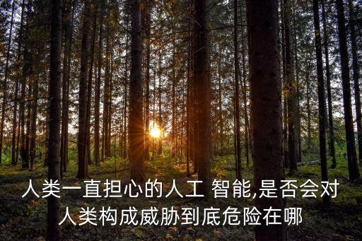 關(guān)于智能機(jī)器人的擔(dān)憂