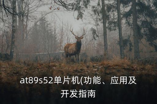 at89s52單片機(jī)(功能、應(yīng)用及開(kāi)發(fā)指南