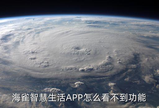 海雀智慧生活A(yù)PP怎么看不到功能