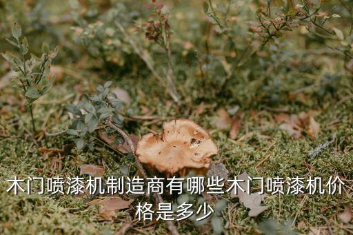 鋼圈噴涂自動(dòng)化設(shè)備,熱熔膠噴涂自動(dòng)化設(shè)備