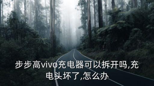 步步高vivo充電器可以拆開(kāi)嗎,充電頭壞了,怎么辦