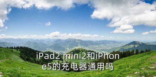 iPad2 mini2和iPhone5的充電器通用嗎