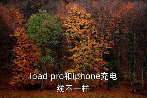 10.5iPad pro數(shù)據(jù)線長