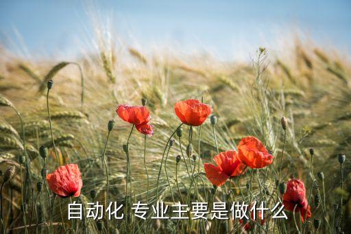  自動化 專業(yè)主要是做什么