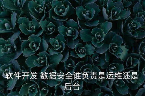 軟件開(kāi)發(fā) 數(shù)據(jù)安全誰(shuí)負(fù)責(zé)是運(yùn)維還是后臺(tái)