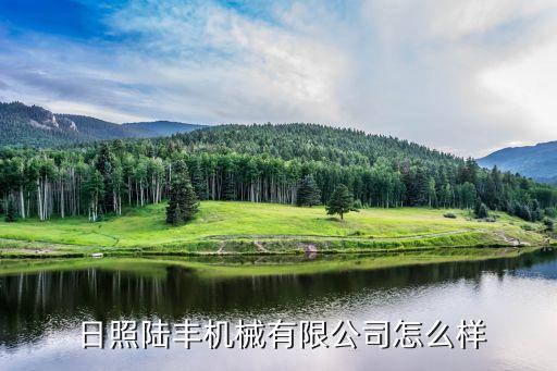 日照自動(dòng)化設(shè)備加工,深圳市日照自動(dòng)化設(shè)備有限公司
