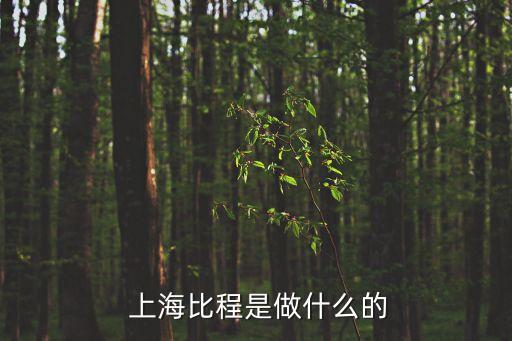  上海比程是做什么的