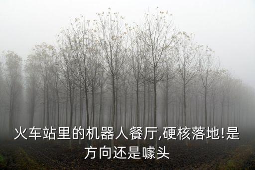 炒菜鍋機(jī)器人弊端,炒菜機(jī)器人有哪些優(yōu)缺點(diǎn)?