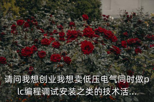 請問我想創(chuàng)業(yè)我想賣低壓電氣同時做plc編程調(diào)試安裝之類的技術活...