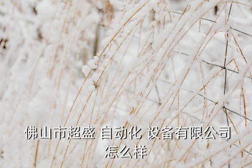  佛山市超盛 自動(dòng)化 設(shè)備有限公司怎么樣