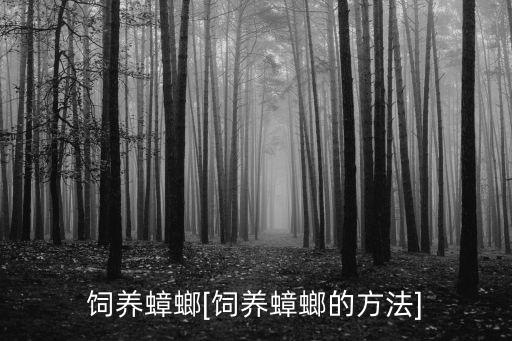 飼養(yǎng)蟑螂[飼養(yǎng)蟑螂的方法]