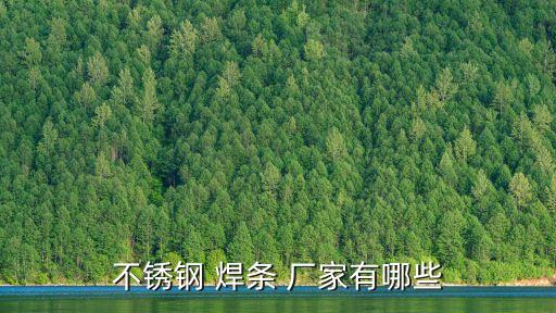 不銹鋼 焊條 廠家有哪些