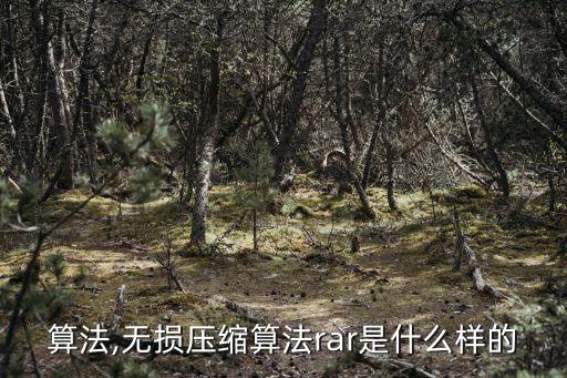 壓縮算法,無損壓縮算法rar是什么樣的?