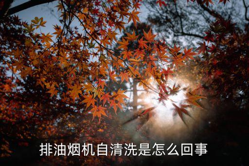排油煙機自清洗是怎么回事