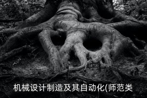 機械設計制造及其自動化(師范類