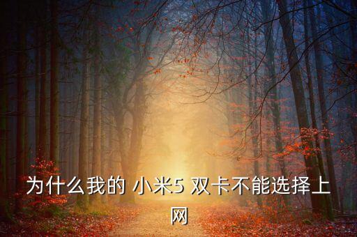 小米5 雙卡數(shù)據(jù)切換,小米手機(jī)雙卡流量切換后不能用了