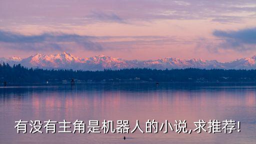有沒(méi)有主角是機(jī)器人的小說(shuō),求推薦!