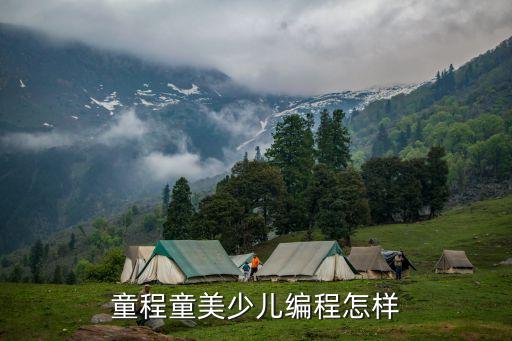 童程童美少兒編程怎樣