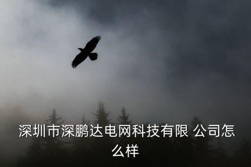  深圳市深鵬達(dá)電網(wǎng)科技有限 公司怎么樣