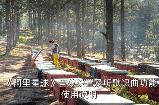 阿里音樂,三分天下!阿里音樂與網(wǎng)易云音樂