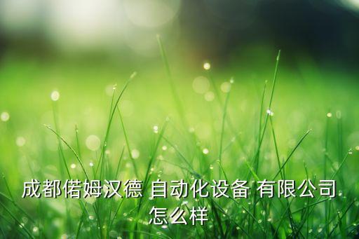 成都偌姆漢德 自動(dòng)化設(shè)備 有限公司怎么樣