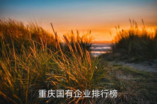 重慶自動(dòng)化的國(guó)企公司名單,自動(dòng)化專(zhuān)業(yè)能去的國(guó)企名單出爐
