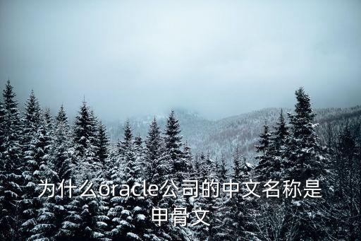 為什么oracle公司的中文名稱是甲骨文