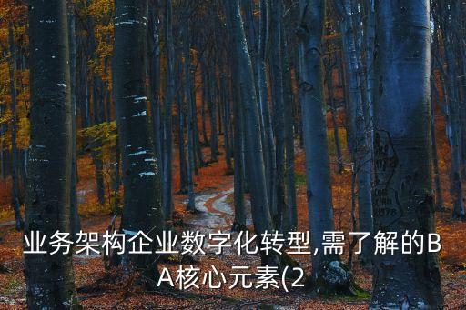 業(yè)務架構企業(yè)數(shù)字化轉型,需了解的BA核心元素(2