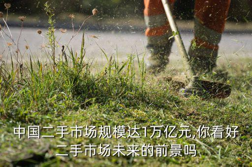 優(yōu)信二手車(chē)大數(shù)據(jù)報(bào)告,優(yōu)信和瓜子二手車(chē)你愿意分期嗎?