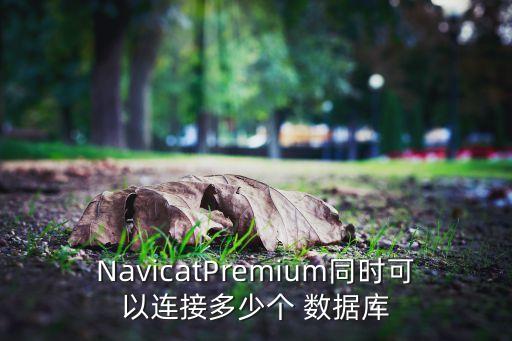 NavicatPremium同時可以連接多少個 數(shù)據(jù)庫
