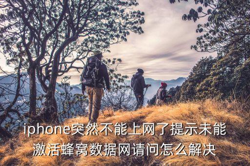 iphone突然不能上網(wǎng)了提示未能激活蜂窩數(shù)據(jù)網(wǎng)請(qǐng)問(wèn)怎么解決