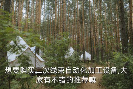 想要購買二次線束自動(dòng)化加工設(shè)備,大家有不錯(cuò)的推薦嘛