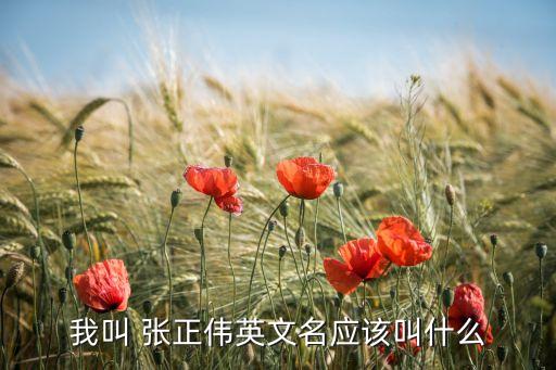 我叫 張正偉英文名應(yīng)該叫什么