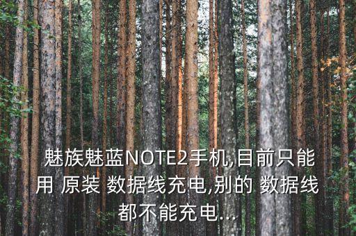 魅族pro5原裝數(shù)據(jù)線,魅族18原裝數(shù)據(jù)線是多少A的