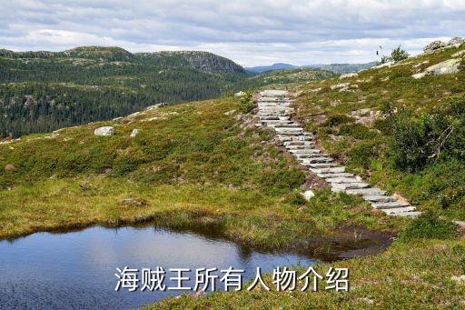 艾力克平衡機器人,出場順序表