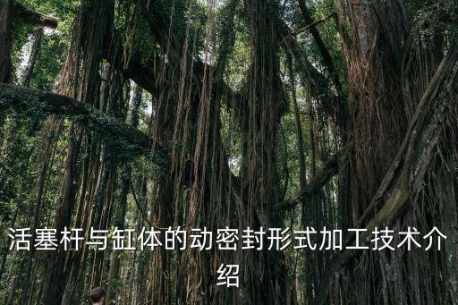 活塞桿與缸體的動密封形式加工技術(shù)介紹