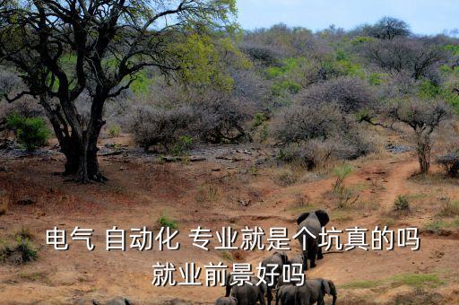  電氣 自動(dòng)化 專業(yè)就是個(gè)坑真的嗎就業(yè)前景好嗎