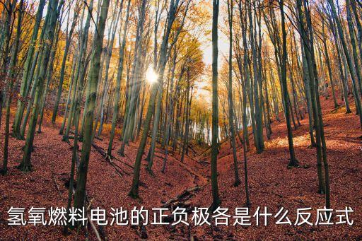 氫氧燃料電池的正負(fù)極各是什么反應(yīng)式