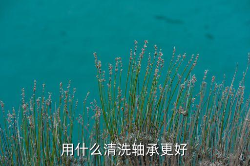 軸承清洗自動(dòng)化設(shè)備有哪些,自動(dòng)化設(shè)備有哪些?
