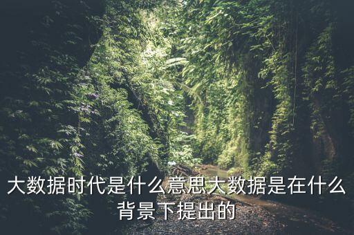 大數(shù)據(jù)時(shí)代是什么意思大數(shù)據(jù)是在什么背景下提出的