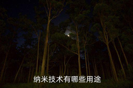  納米技術(shù)有哪些用途