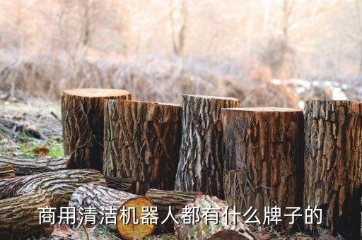 商用清潔機(jī)器人都有什么牌子的
