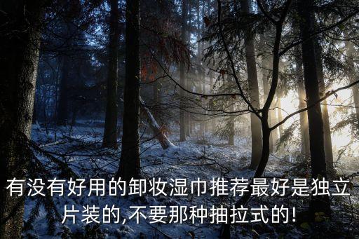 有沒有好用的卸妝濕巾推薦最好是獨(dú)立片裝的,不要那種抽拉式的!