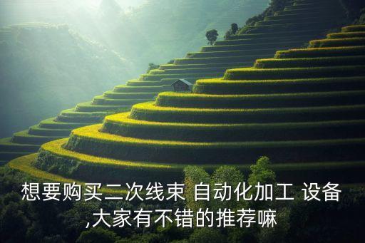 想要購買二次線束 自動化加工 設(shè)備,大家有不錯的推薦嘛