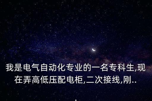 我是電氣自動(dòng)化專業(yè)的一名專科生,現(xiàn)在弄高低壓配電柜,二次接線,剛...