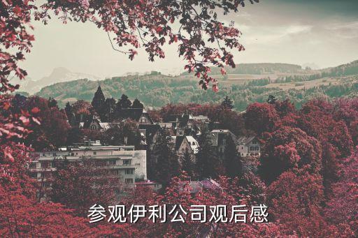 參觀(guān)伊利公司觀(guān)后感