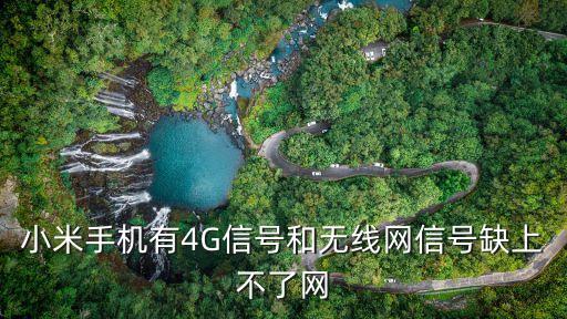 小米手機(jī)有4G信號(hào)和無(wú)線網(wǎng)信號(hào)缺上不了網(wǎng)